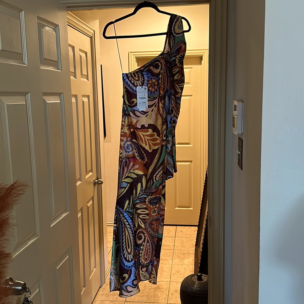 Beautiful Zara dress new with tags